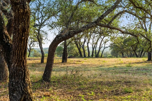 PRIVATEROAD10 Pedernales Canyon Trl, Spicewood, TX 78669 - photo 25