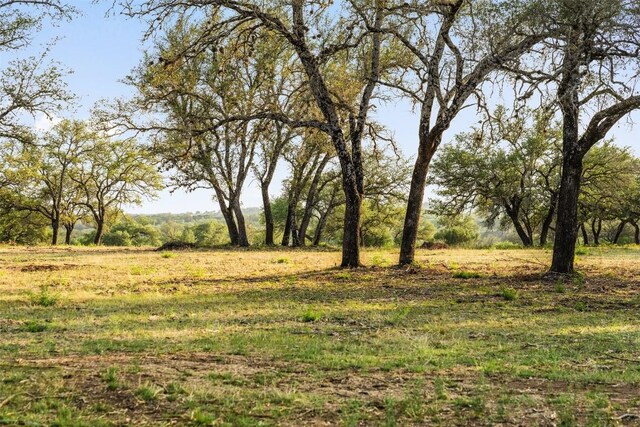PRIVATEROAD10 Pedernales Canyon Trl, Spicewood, TX 78669 - photo 27