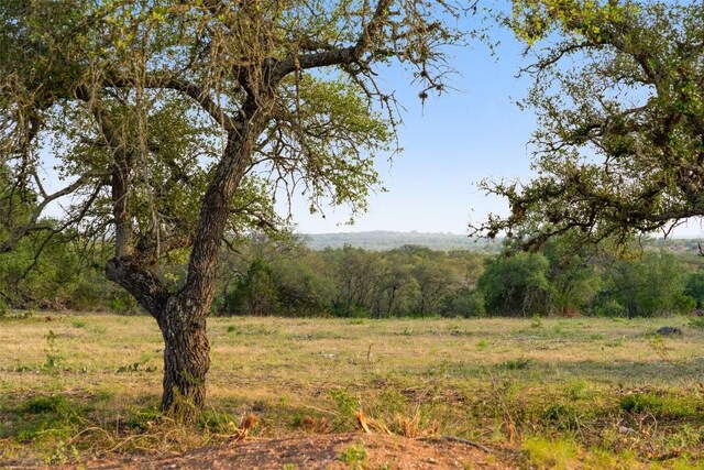 PRIVATEROAD10 Pedernales Canyon Trl, Spicewood, TX 78669 - photo 5