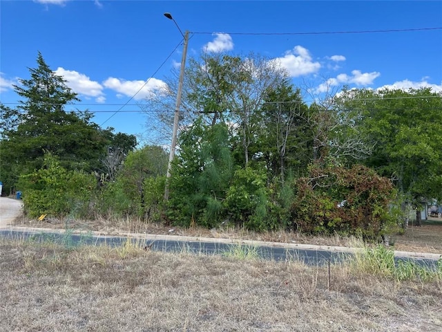 529 Madison St, Elgin TX, 78621 land for sale