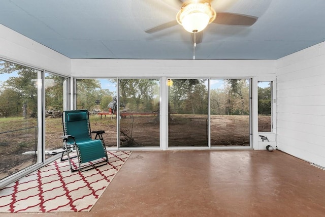 319 Matthew Cv, Bastrop, TX 78602 - photo 24