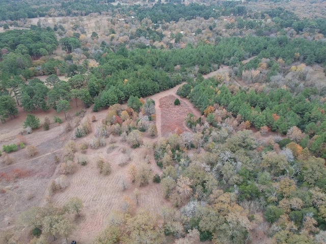 319 Matthew Cv, Bastrop, TX 78602 - photo 4