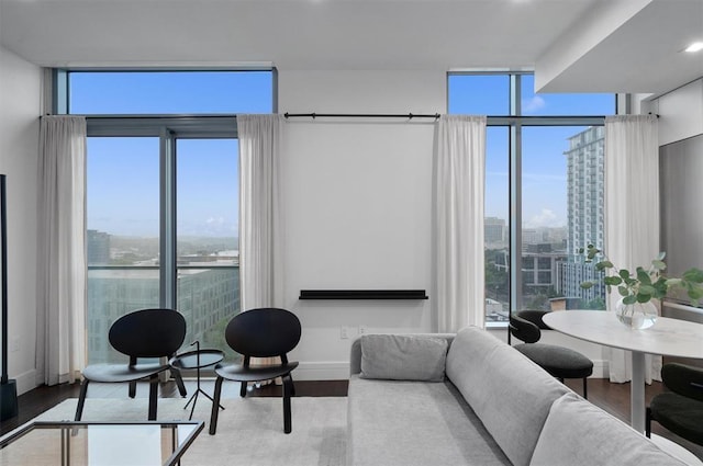 living room with hardwood / wood-style floors and a wall of windows