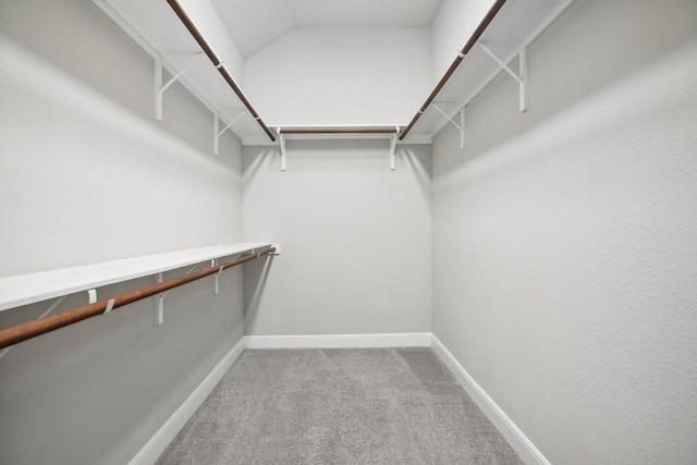 walk in closet featuring carpet flooring