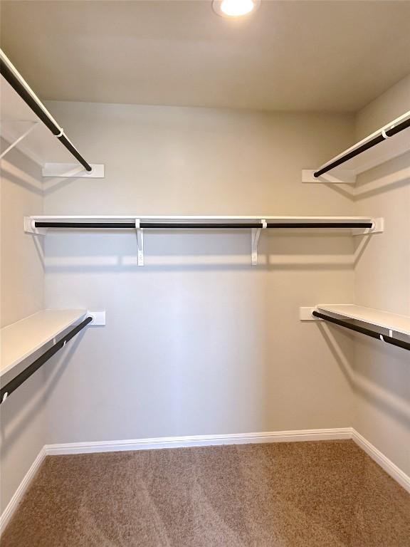 walk in closet featuring carpet floors