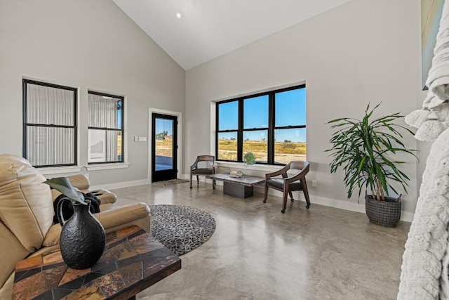 living room featuring high vaulted ceiling