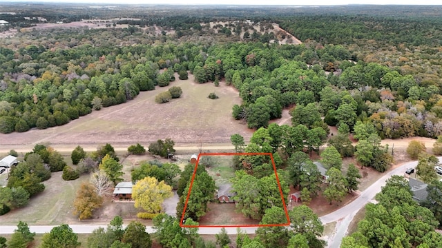 228 Old Firetower Rd, Bastrop, TX 78602 - aerial overview of property's location with a heavily wooded area and property boundaries highlighted