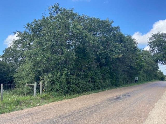 Listing photo 2 for TBD Jeddo Rd, Cistern TX 78941