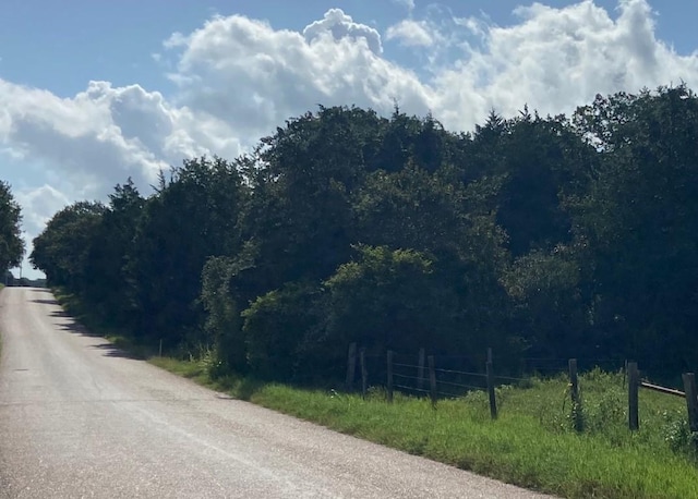 Listing photo 3 for TBD Jeddo Rd, Cistern TX 78941