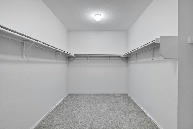 walk in closet with carpet flooring