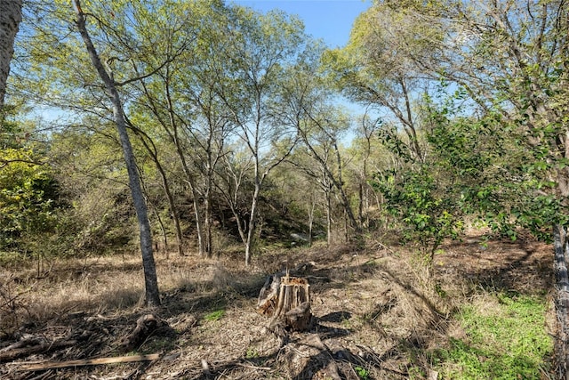 view of local wilderness