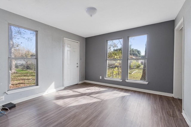 interior space with multiple windows, a closet, and hardwood / wood-style flooring