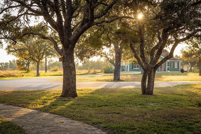 view of community featuring a lawn