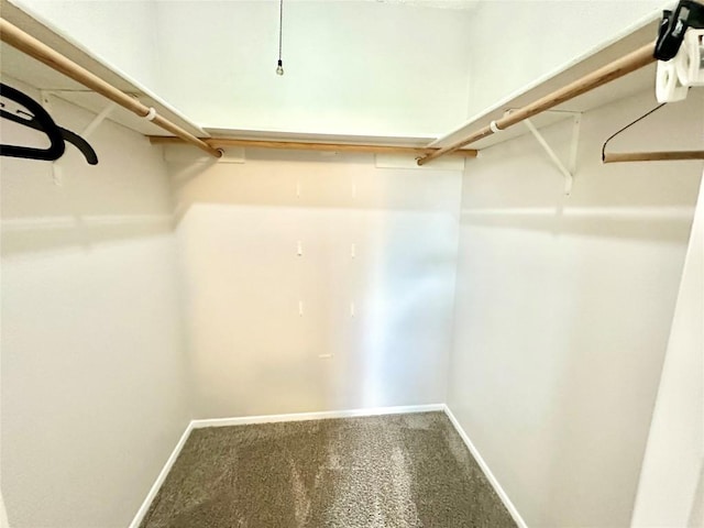 walk in closet featuring carpet