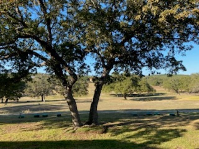 view of yard featuring a rural view