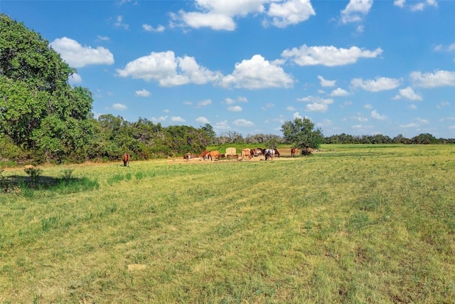 view of yard with a rural view