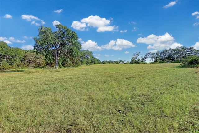 view of local wilderness featuring a rural view