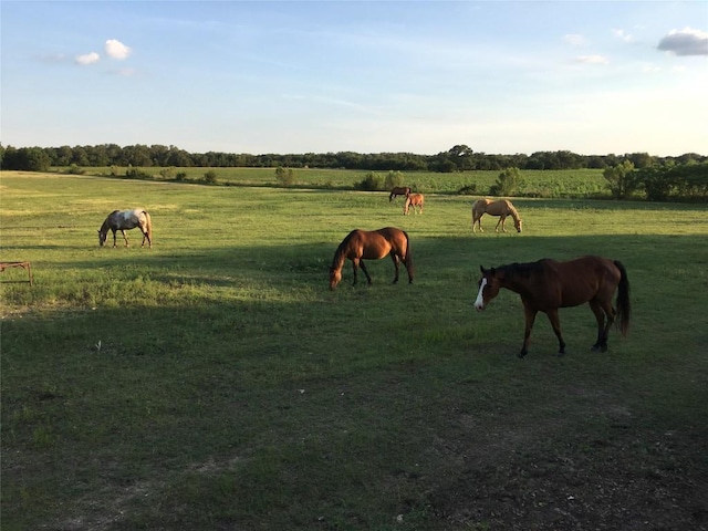 view of community with a rural view