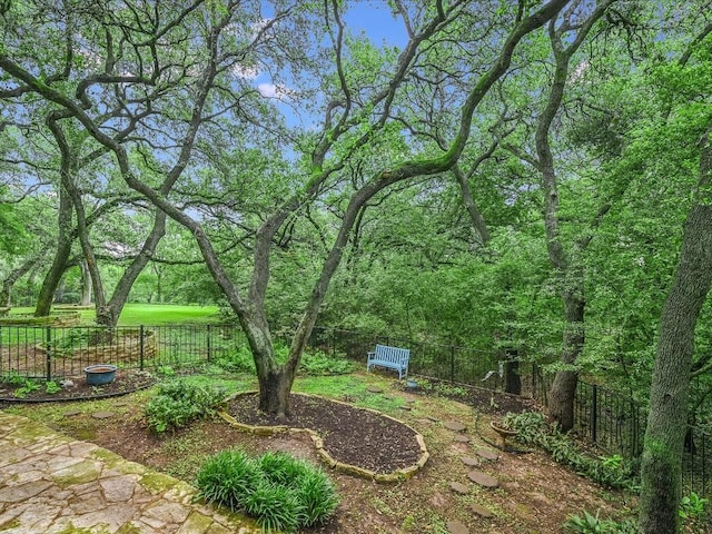 3901 Prentice Ln, Austin, TX 78746 - view of fenced backyard