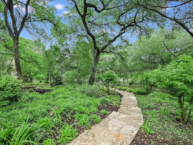 3901 Prentice Ln, Austin, TX 78746 - view of yard