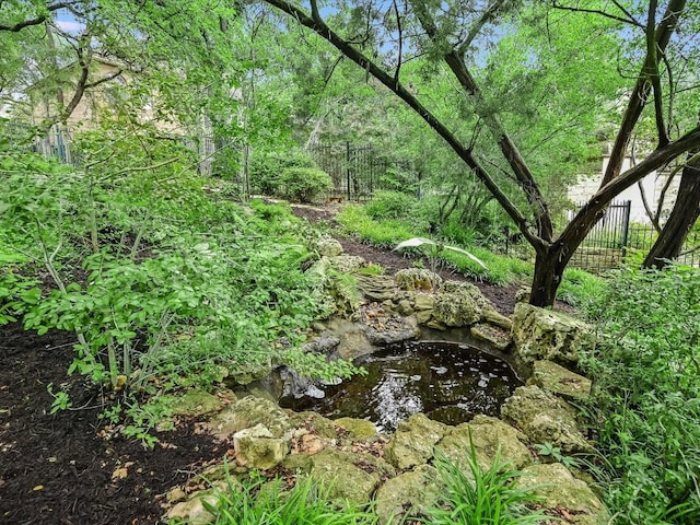 3901 Prentice Ln, Austin, TX 78746 - view of undeveloped land