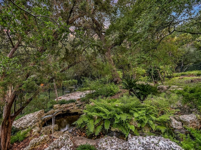 3901 Prentice Ln, Austin, TX 78746 - view of woods