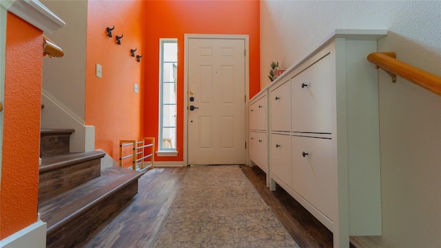 foyer with dark wood-type flooring