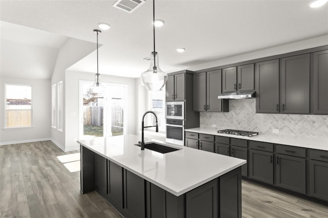 113 Wagon Spoke Way, Liberty Hill, TX 78642 - kitchen featuring a sink, stainless steel appliances, tasteful backsplash, under cabinet range hood, and light countertops