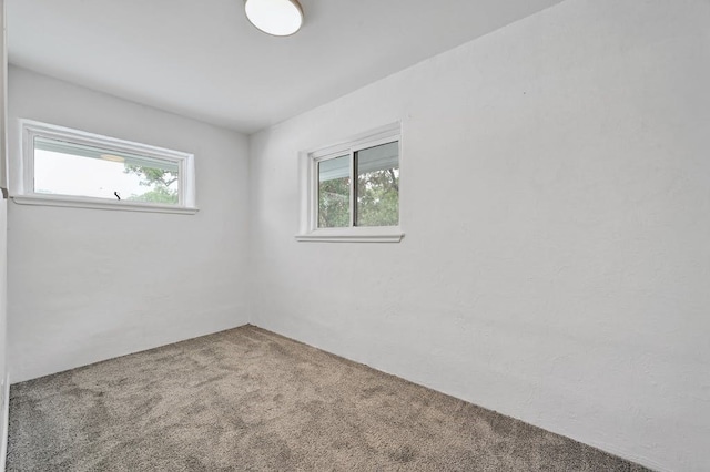 empty room featuring carpet floors