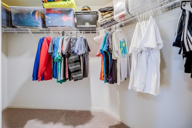 walk in closet featuring carpet flooring