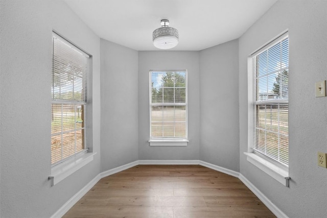 empty room with hardwood / wood-style floors and plenty of natural light