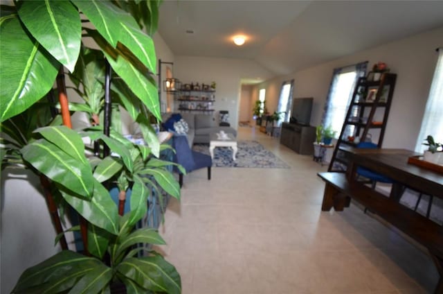 interior space featuring lofted ceiling