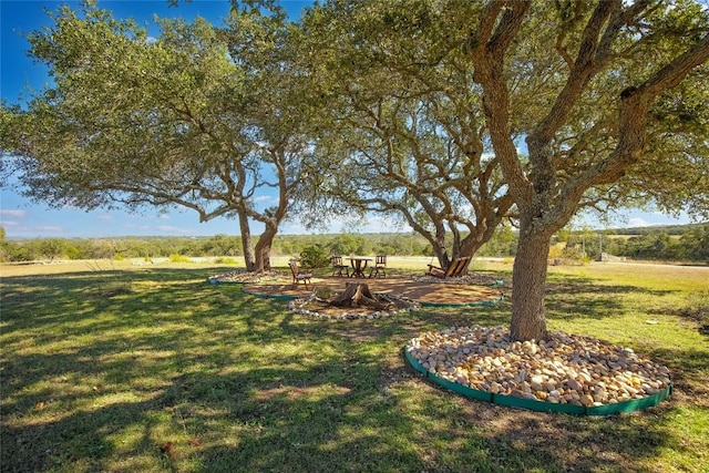 5059 Trainer Wuest Rd, Blanco, TX 78606 - photo 25