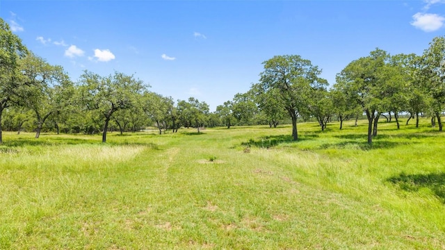 5059 Trainer Wuest Rd, Blanco, TX 78606 - photo 36