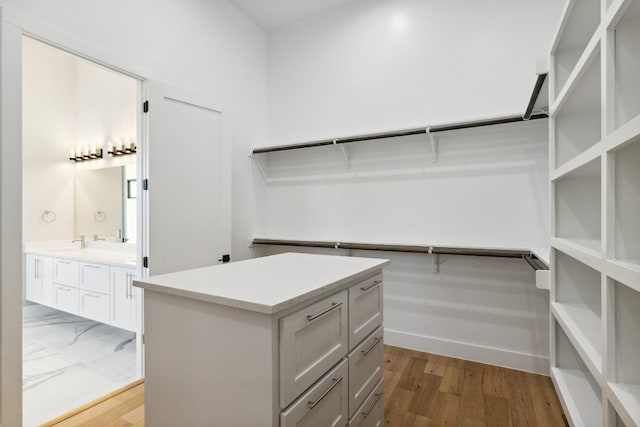 spacious closet featuring wood-type flooring