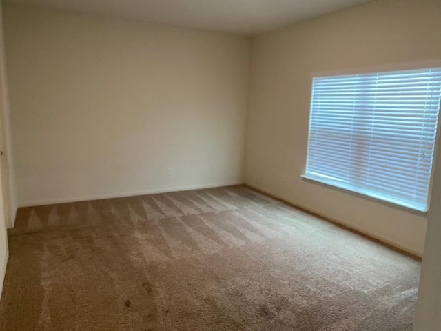 empty room featuring carpet