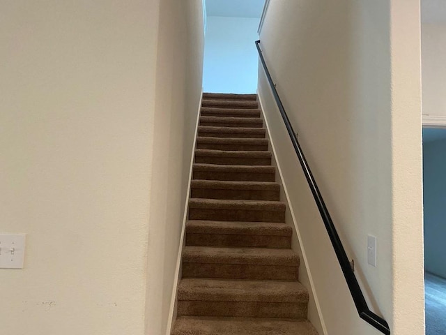 stairs with carpet flooring