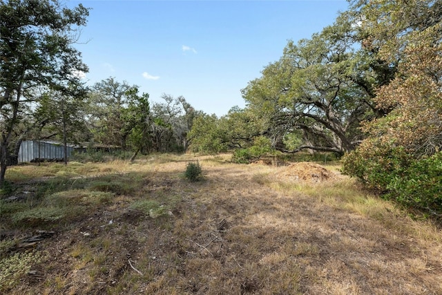 200 Ted Burger Rd, Dripping Springs, TX 78620 - photo 4