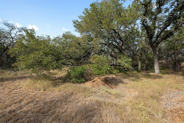 200 Ted Burger Rd, Dripping Springs, TX 78620 - photo 5