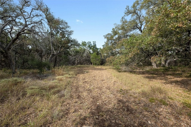 200 Ted Burger Rd, Dripping Springs, TX 78620 - photo 6