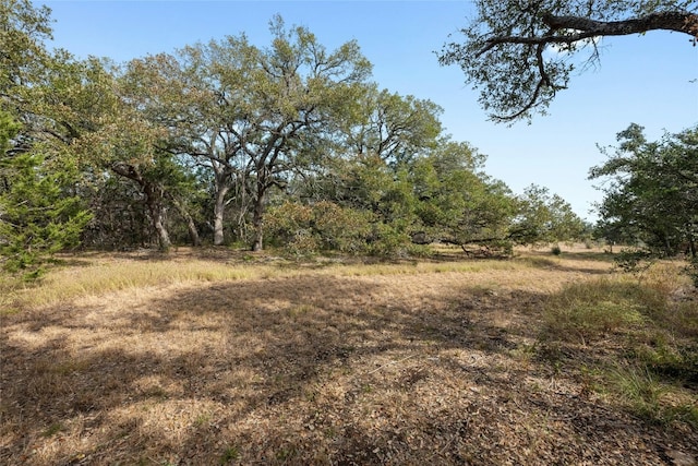 200 Ted Burger Rd, Dripping Springs, TX 78620 - photo 7