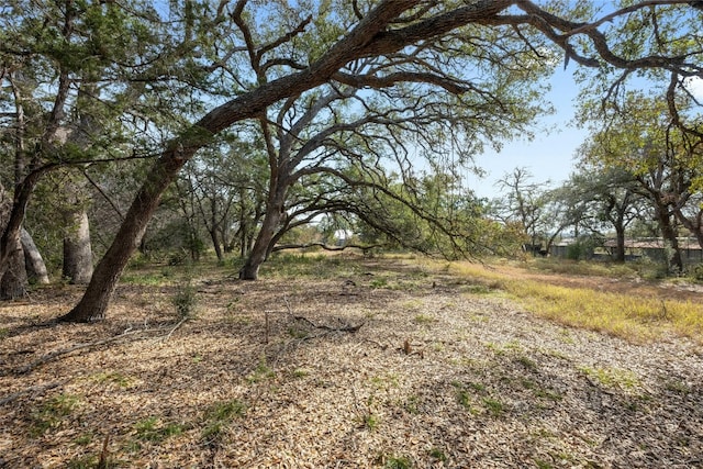 200 Ted Burger Rd, Dripping Springs, TX 78620 - photo 9