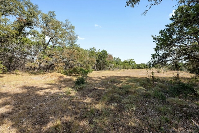200 Ted Burger Rd, Dripping Springs, TX 78620 - photo 10