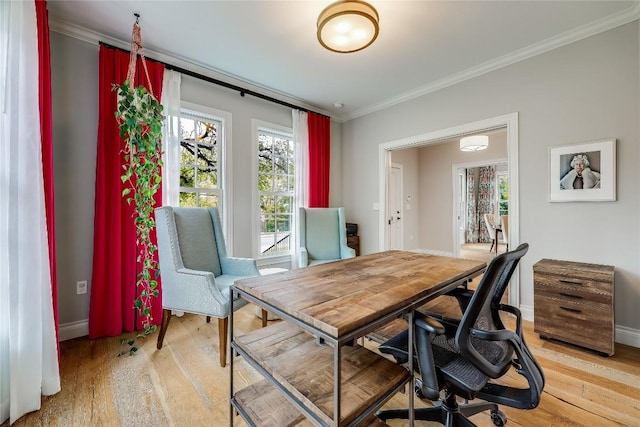 home office with light hardwood / wood-style flooring and crown molding