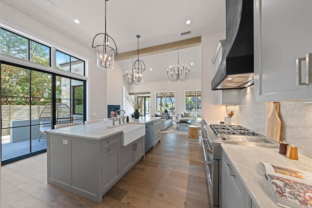 kitchen featuring appliances with stainless steel finishes, premium range hood, a wealth of natural light, and sink