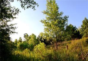 Listing photo 3 for 127 Hereford Ln Lot 42 1, Bastrop TX 78602