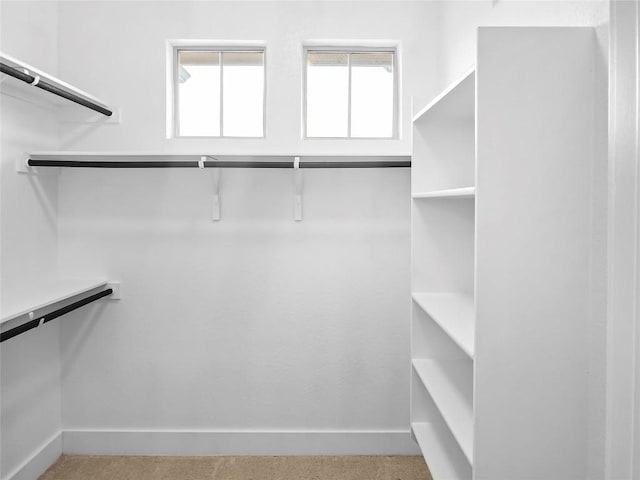 spacious closet featuring light colored carpet