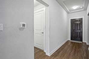 foyer featuring dark wood-type flooring