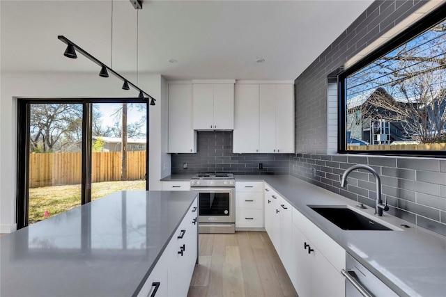 kitchen featuring a wealth of natural light, light wood-type flooring, appliances with stainless steel finishes, and a sink