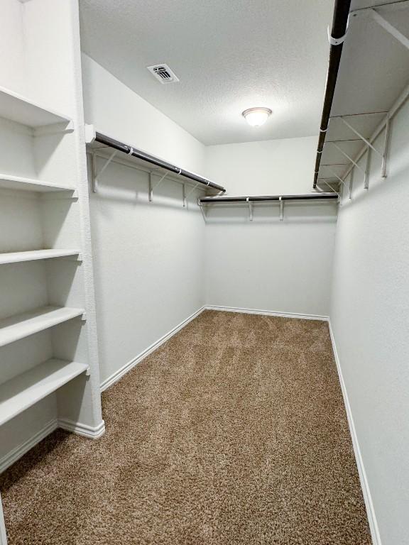 walk in closet with carpet floors